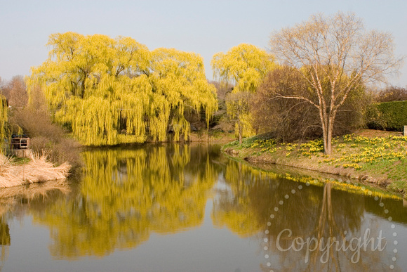 CRW_5447